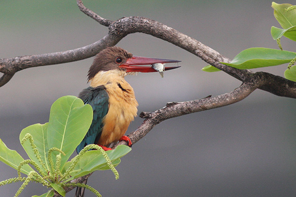 Neeleshwar Hermitage